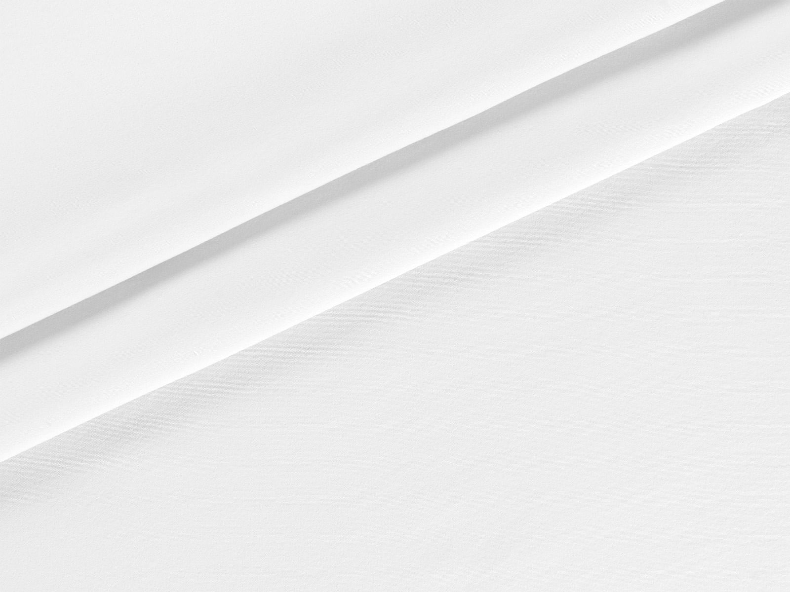 IMAGE_L