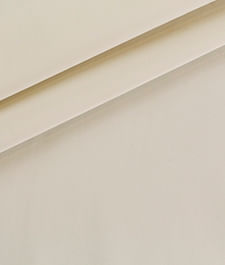 IMAGE_T
