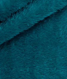IMAGE_T