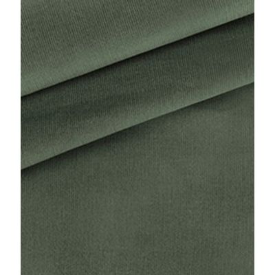 IMAGE_T