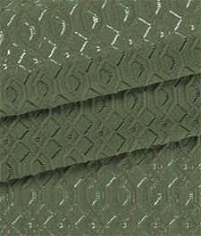 IMAGE_T