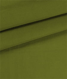 IMAGE_T