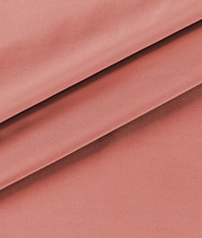 IMAGE_T