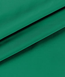 IMAGE_T