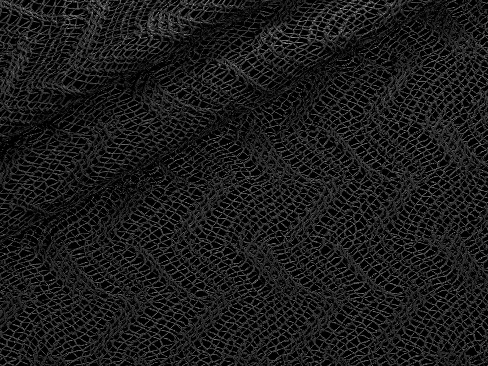 IMAGE_L