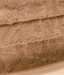 IMAGE_T