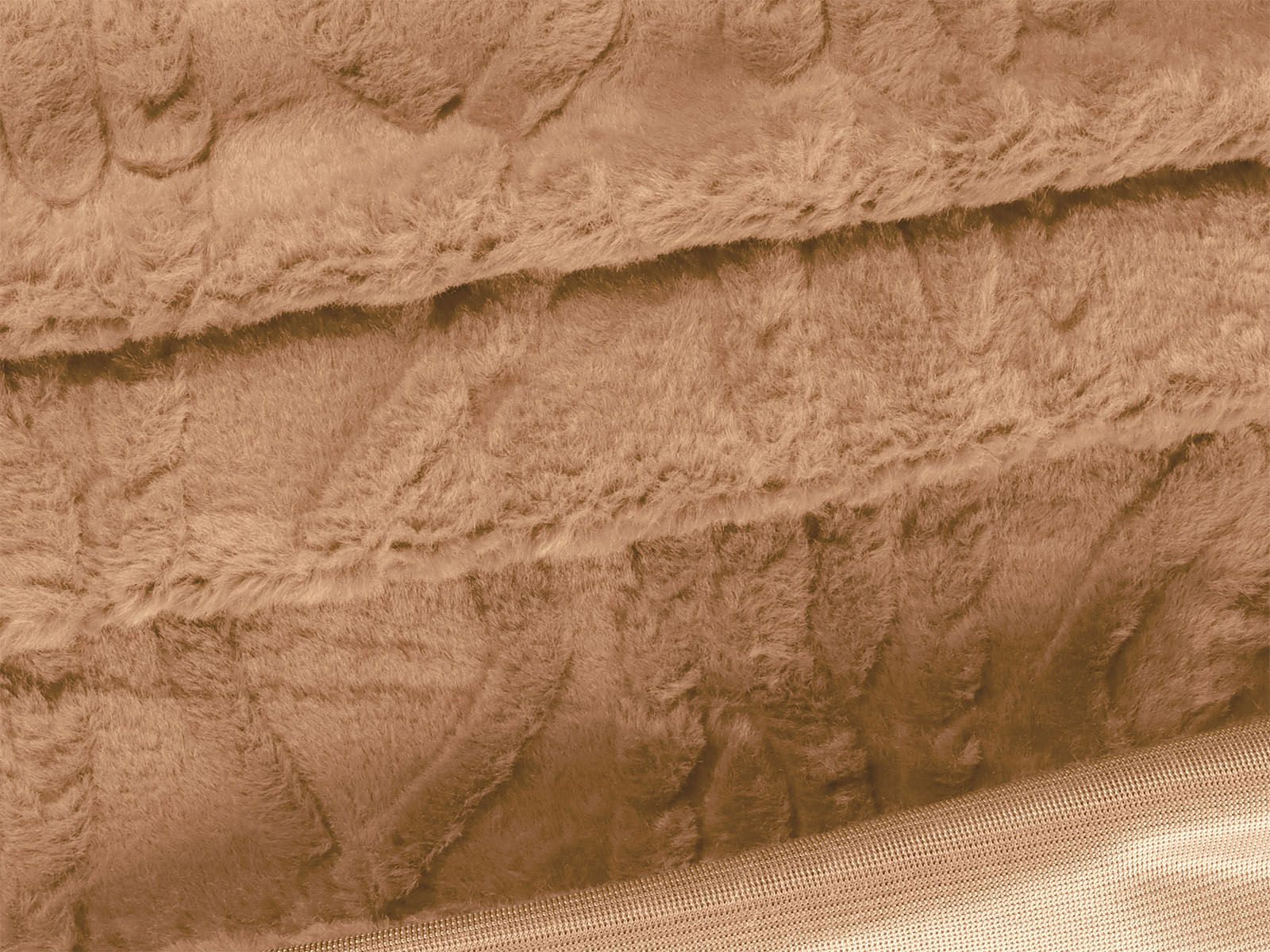 IMAGE_L