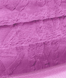 IMAGE_T