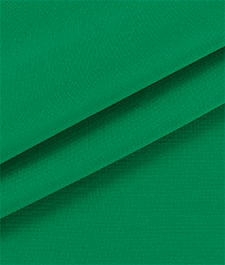 IMAGE_T
