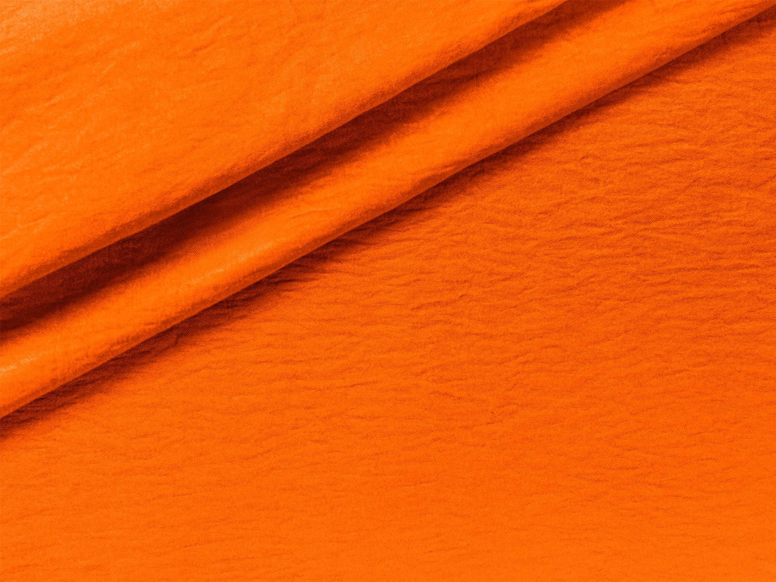 IMAGE_L