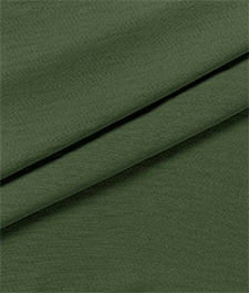 IMAGE_T