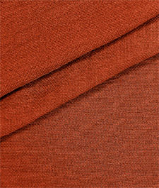 IMAGE_T