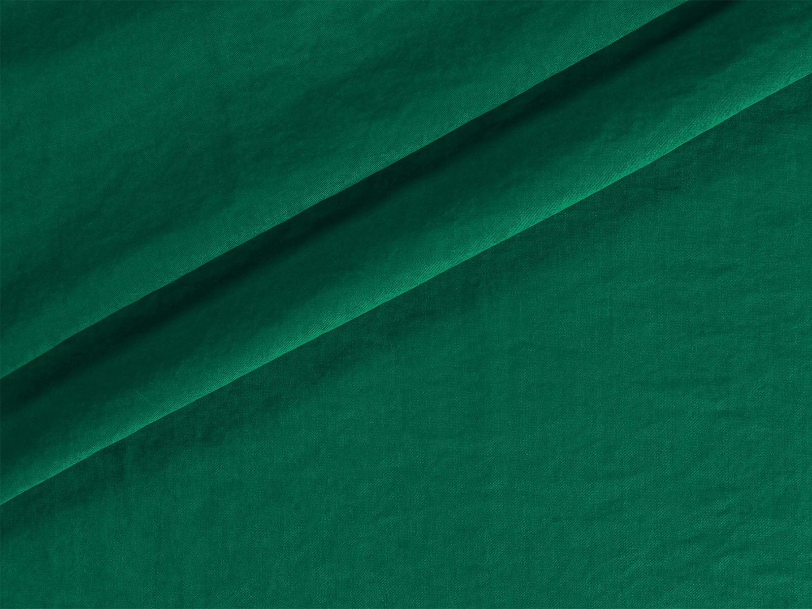 IMAGE_L