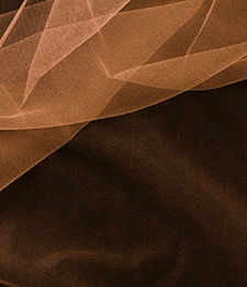 IMAGE_T