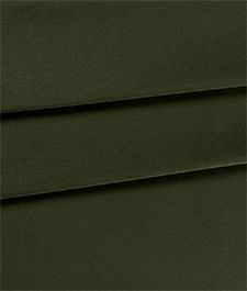 IMAGE_T