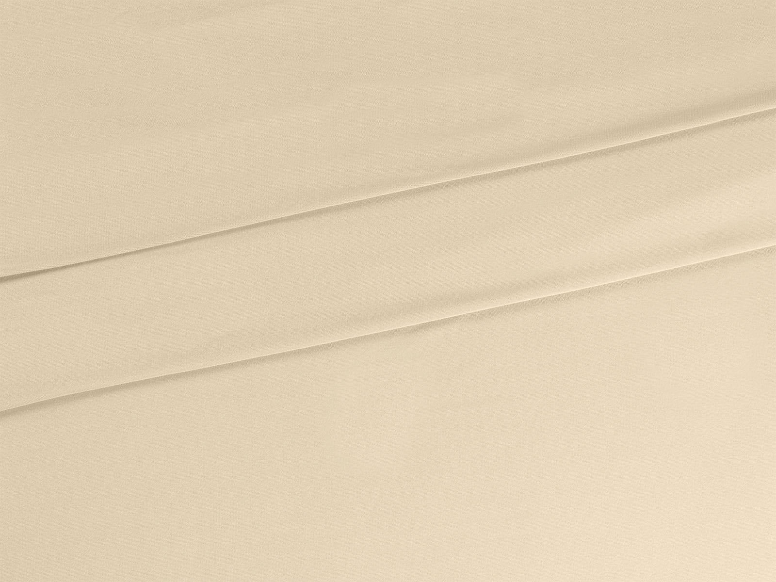 IMAGE_L