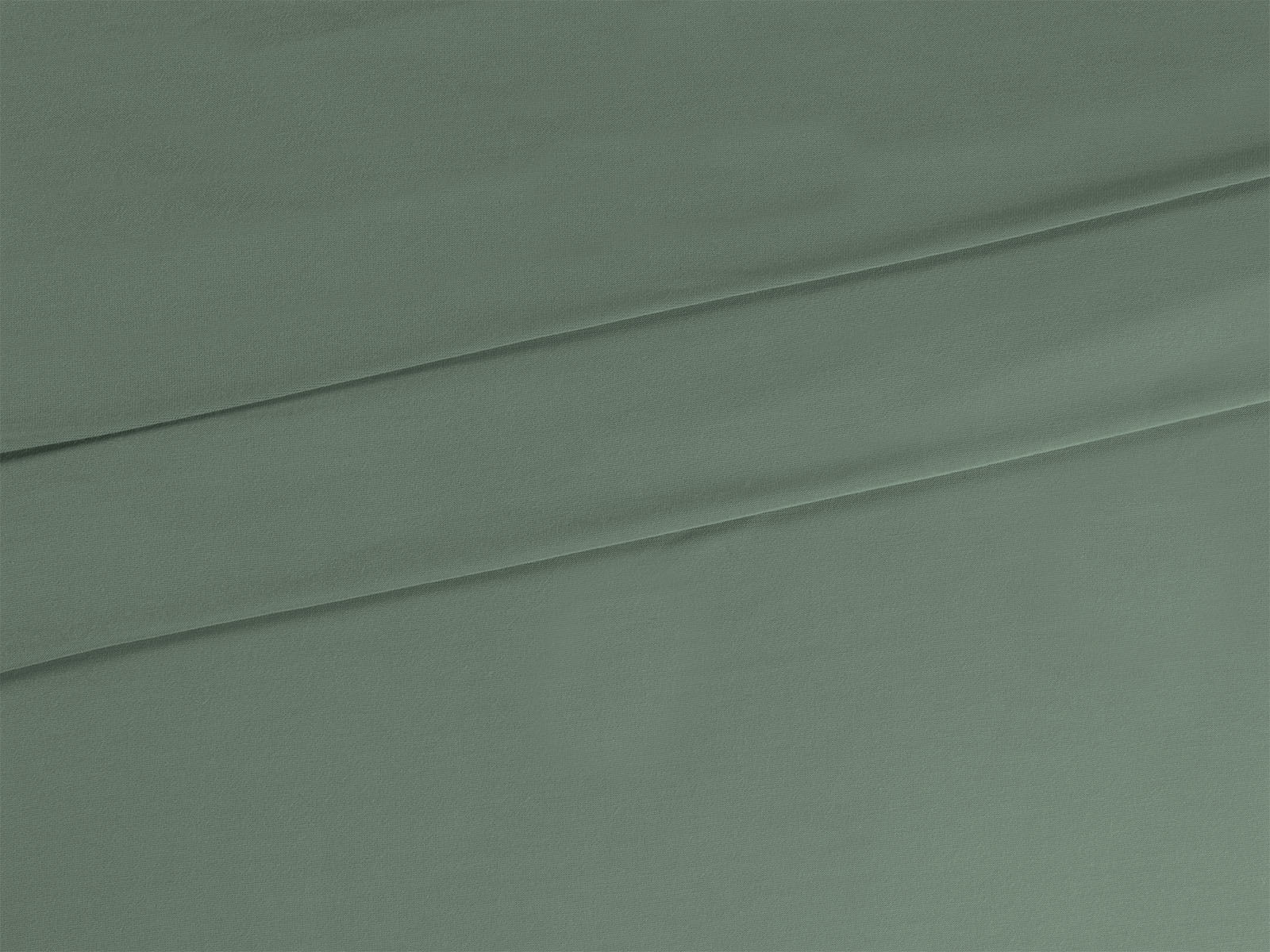IMAGE_L