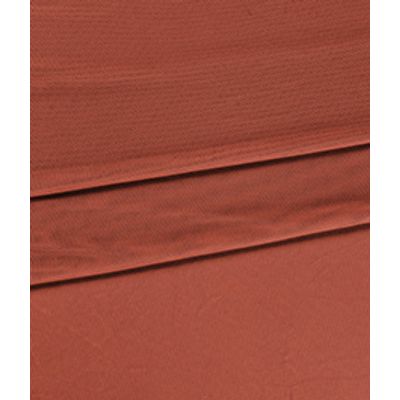 IMAGE_T
