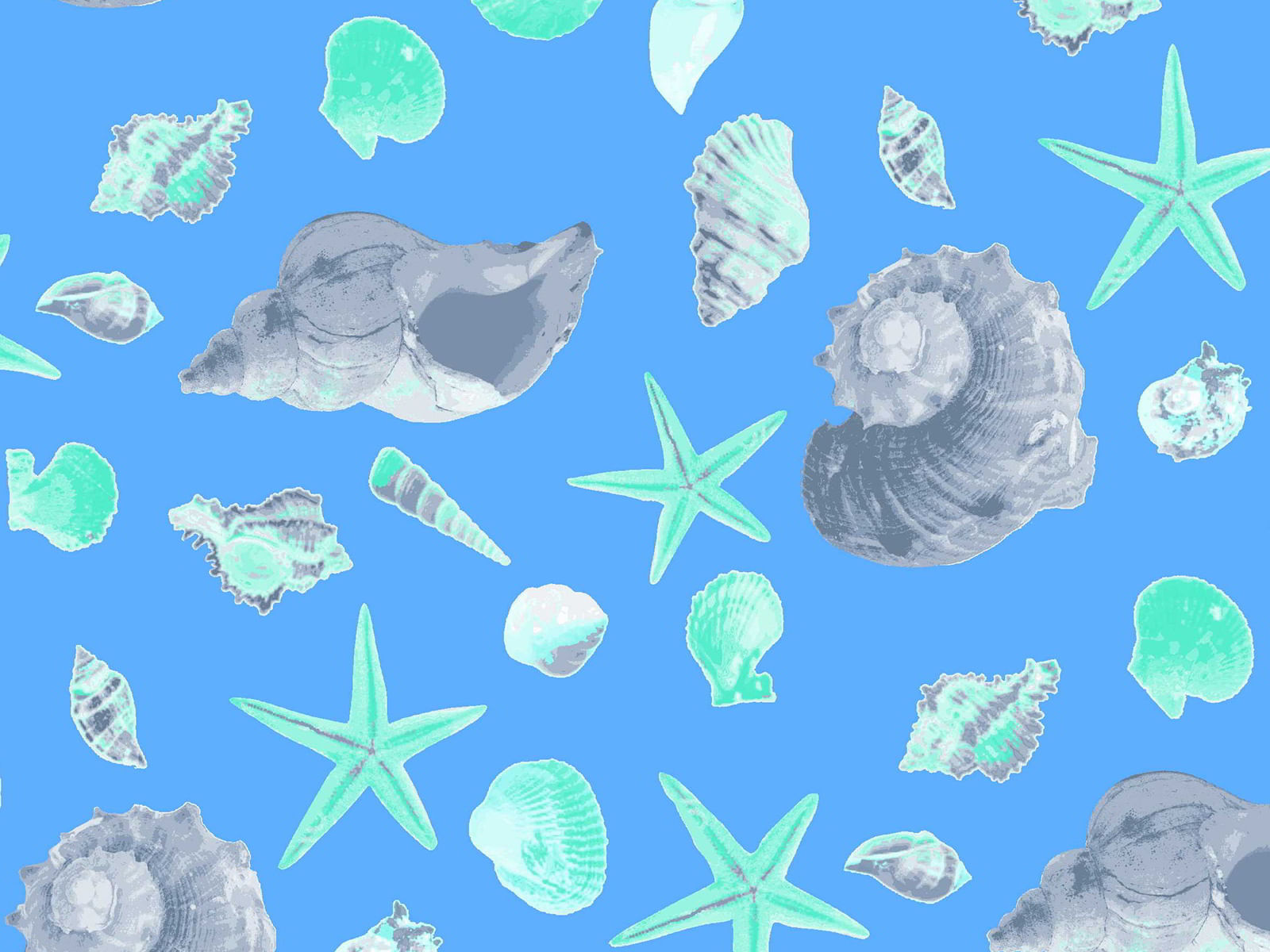 IMAGE_L