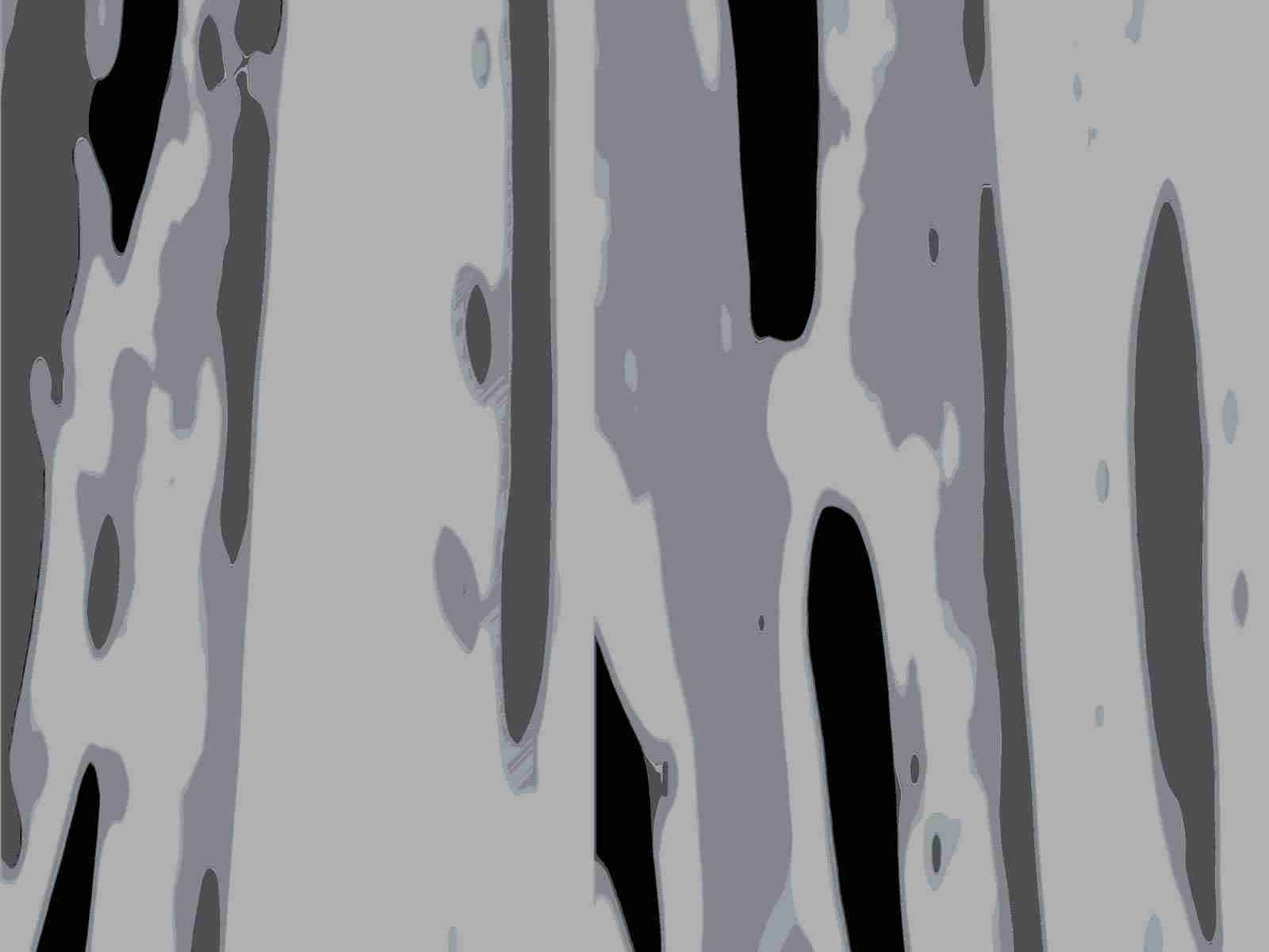 IMAGE_L