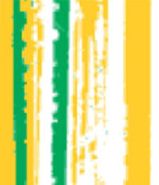IMAGE_T