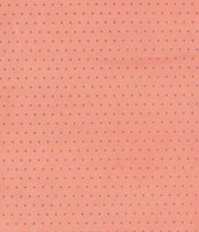 IMAGE_T