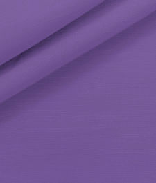 IMAGE_T