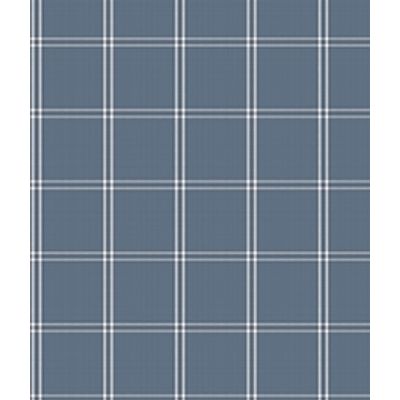 IMAGE_T