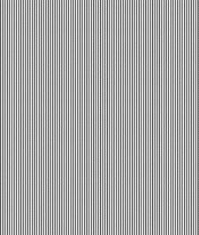 IMAGE_T