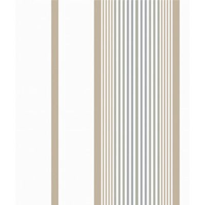 IMAGE_T