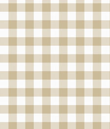 IMAGE_T