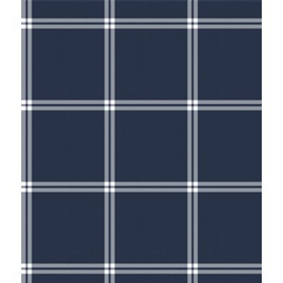 IMAGE_T