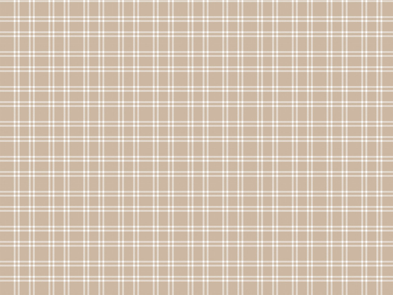 IMAGE_L