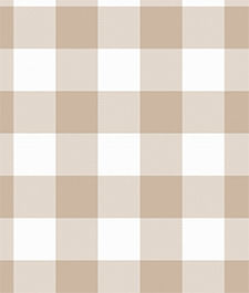 IMAGE_T