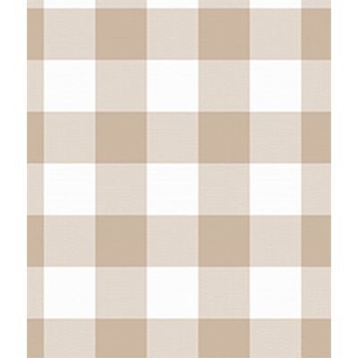 IMAGE_T