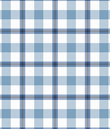 IMAGE_T