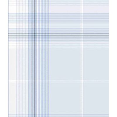 IMAGE_T