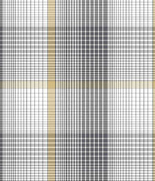 IMAGE_T