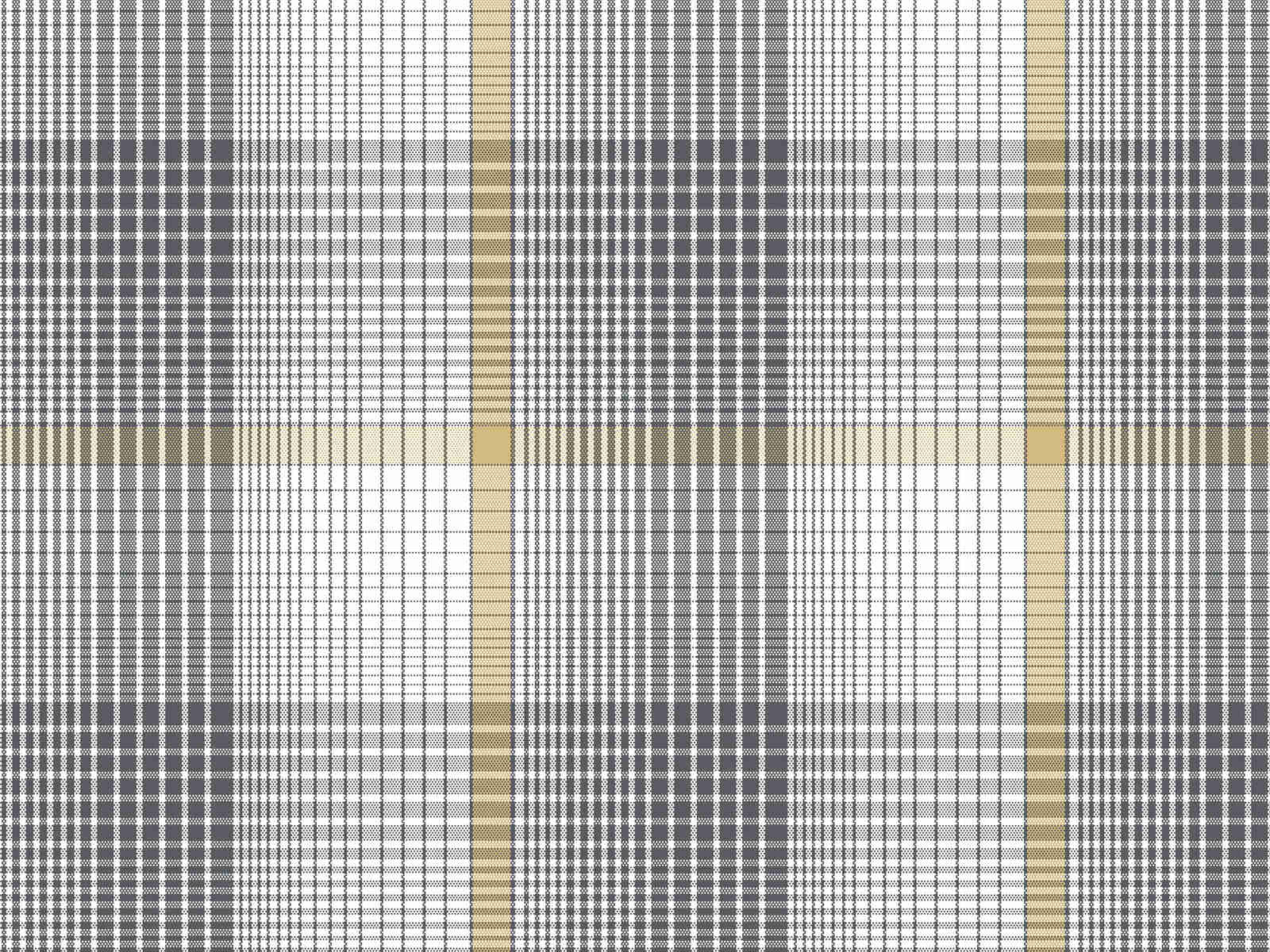 IMAGE_L