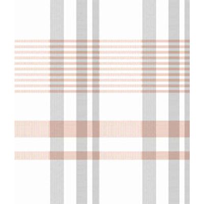 IMAGE_T