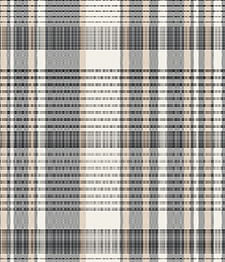 IMAGE_T