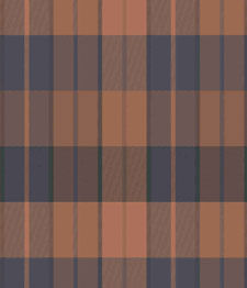 IMAGE_T