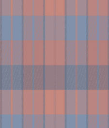 IMAGE_T