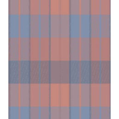 IMAGE_T
