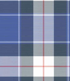IMAGE_T
