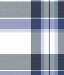 IMAGE_T
