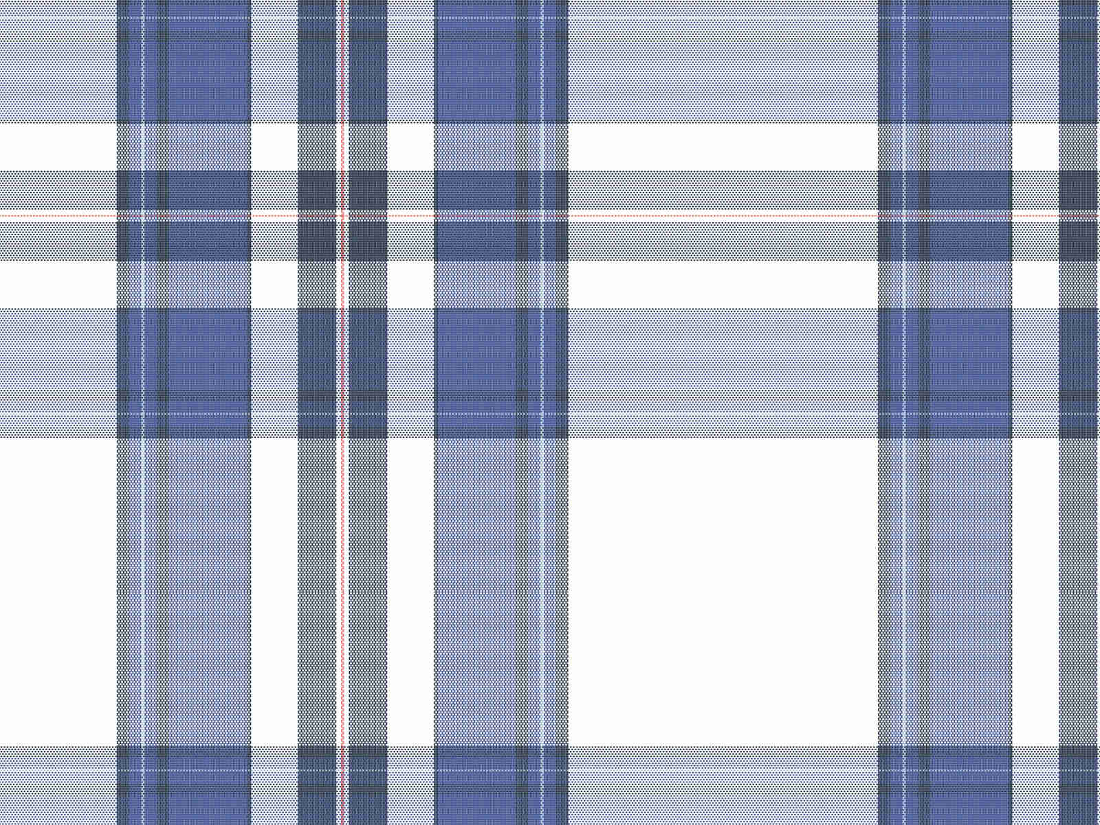 IMAGE_L