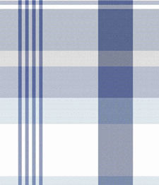 IMAGE_T