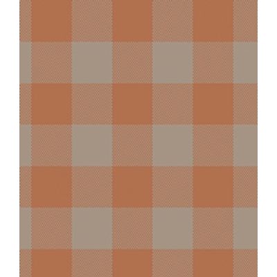 IMAGE_T