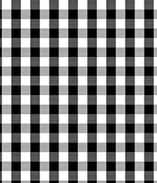 IMAGE_T